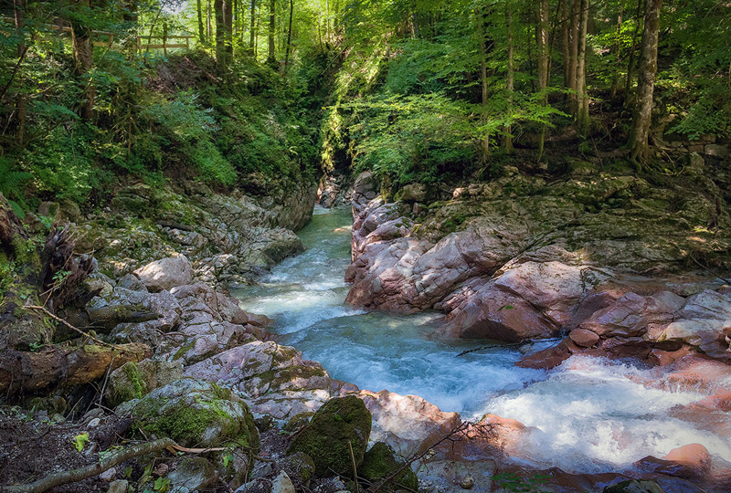 Skalisty potok w Beskidzie Śląskim